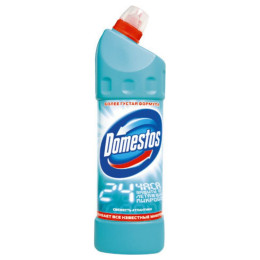 Універсальний чистячий засіб Domestos Свіжість Атлантики 24 години 1000 мл