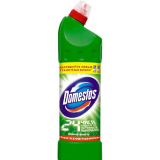 Універсальний чистячий засіб Domestos Хвойна свіжість 1000 мл
