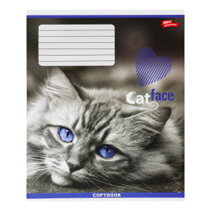 Зошит Мрії збуваються 2271к 24 аркуша