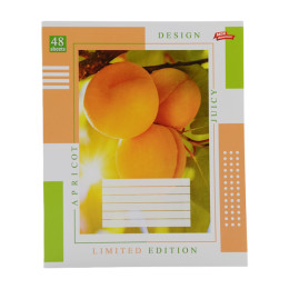 Зошит Мрії збуваються 1896 в клітинку 48 аркушів