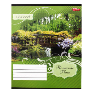 Зошит Мрії збуваються в клітинку 36 аркушів