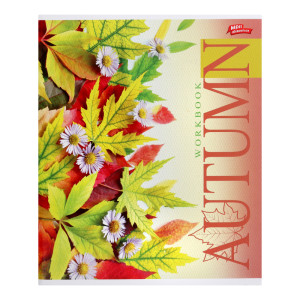 Зошит Мрії збуваються в лінію 96 аркушів