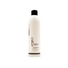 Шампунь PROFIStyle Argan з олією арганії 250 мл